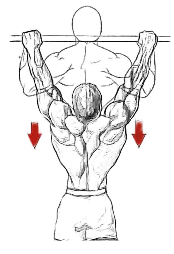 pull-up