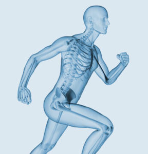 photo_physio